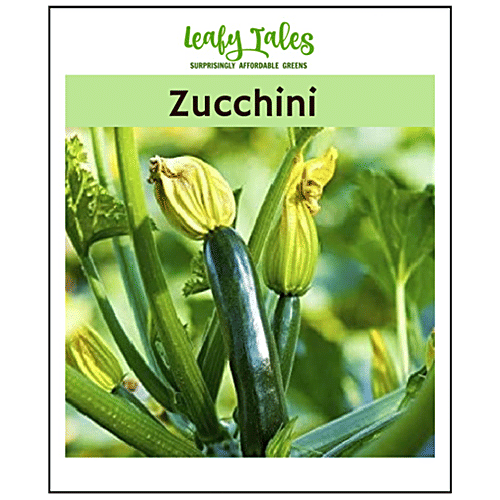 Buy Leafy Tales Zucchini Seeds Natural, Fresh, For Planting