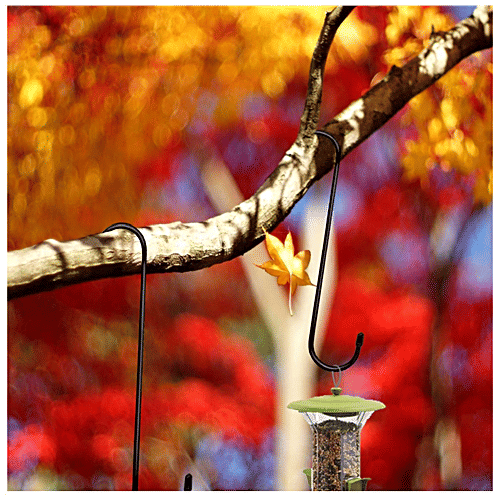 Buy Leafy Tales Heavy Duty S Shaped Hanging Hook For Pot Extension