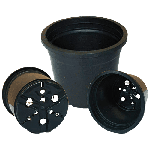 Leafy Tales Plastic Pot - Lightweight, Strong, Durable, For Indoor Plants, Black, 10.16, 1 pc  