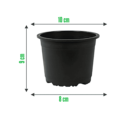 Leafy Tales Plastic Pot - Lightweight, Strong, Durable, For Indoor Plants, Black, 10.16, 1 pc  