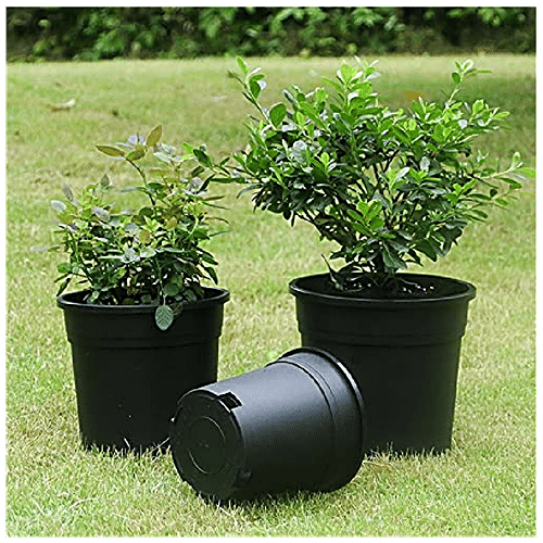 Leafy Tales Plastic Pot - Lightweight, Strong, Durable, For Indoor Plants, Black, 10.16, 1 pc  