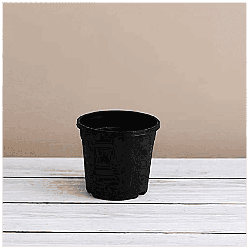 Leafy Tales Plastic Pot - Lightweight, Strong, Durable, For Indoor Plants, Black, 10.16, 1 pc  