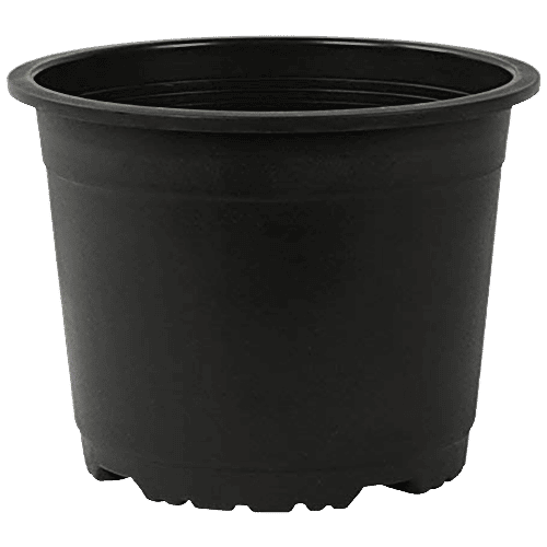 Leafy Tales Plastic Pot - Lightweight, Strong, Durable, For Indoor Plants, Black, 10.16, 1 pc  