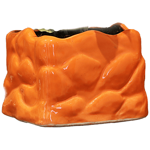 Leafy Tales Stone Shape Ceramic Pot - Strong, Durable, For Indoor Plants, Orange, 1 pc