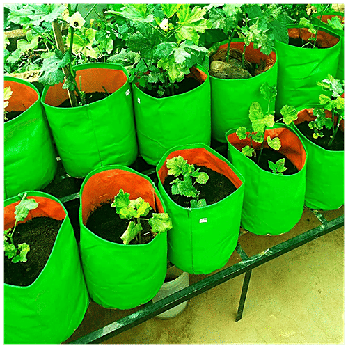 Leafy Tales HDPE Grow Bag - Lightweight, Durable, For Fruits & Vegetables, Green, 30 x 30 cm, 1 pc  