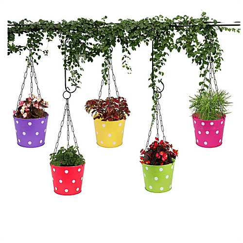 Leafy Tales Metal Chain Hanging Planters - Strong, Rustproof, For Gardening, Multicolour, 5 pcs  
