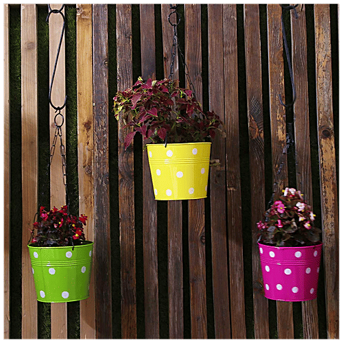Leafy Tales Metal Chain Hanging Planters - Strong, Rustproof, For Gardening, Multicolour, 5 pcs  