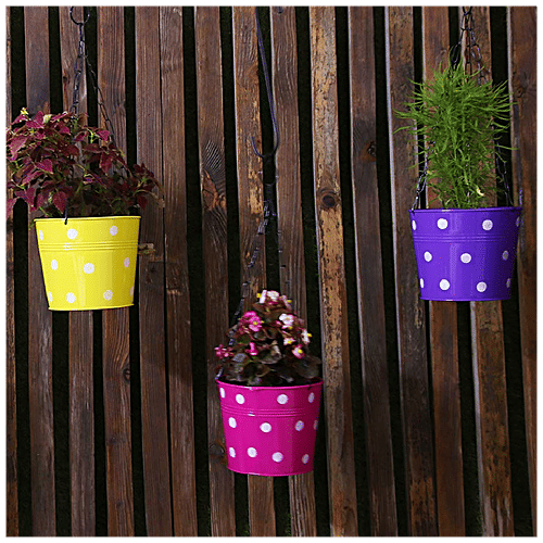 Leafy Tales Metal Chain Hanging Planters - Strong, Rustproof, For Gardening, Multicolour, 5 pcs  