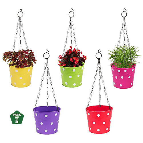 Leafy Tales Metal Chain Hanging Planters - Strong, Rustproof, For Gardening, Multicolour, 5 pcs  