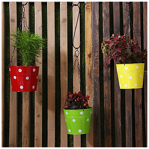 Leafy Tales Metal Chain Hanging Planter - Strong, Durable, Rustproof, For Gardening, Red, 1 pc  
