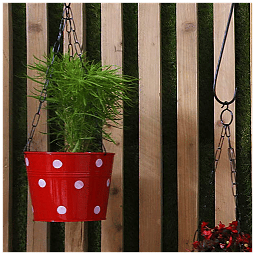 Leafy Tales Metal Chain Hanging Planter - Strong, Durable, Rustproof, For Gardening, Red, 1 pc  