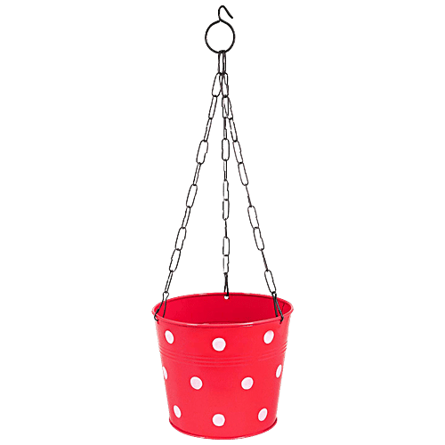 Leafy Tales Metal Chain Hanging Planter - Strong, Durable, Rustproof, For Gardening, Red, 1 pc  