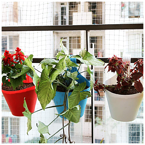 Leafy Tales Plastic Hook Hanging Pot - Strong, Durable, For Gardening, Blue, 28x12x22 Cm, 1 pc