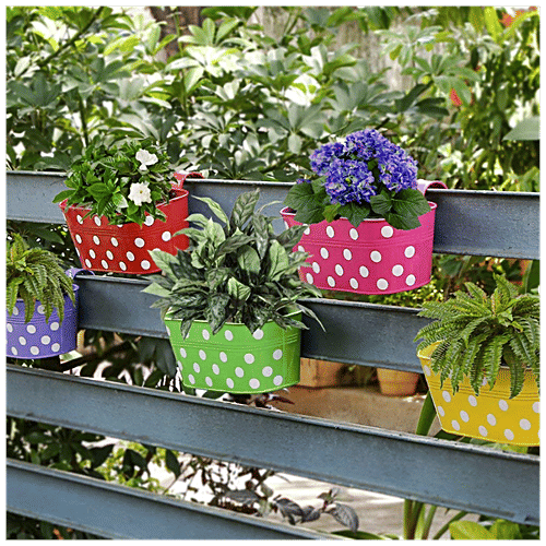 Leafy Tales Metal Hanging Planters - Oval, Strong, Durable, Rustproof, For Gardening, Multicolour, 30x15x14 Cm, 5 pcs