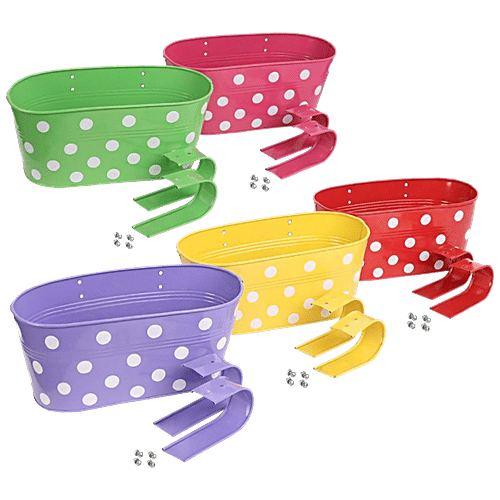 Leafy Tales Metal Hanging Planters - Oval, Strong, Durable, Rustproof, For Gardening, Multicolour, 30x15x14 Cm, 5 pcs