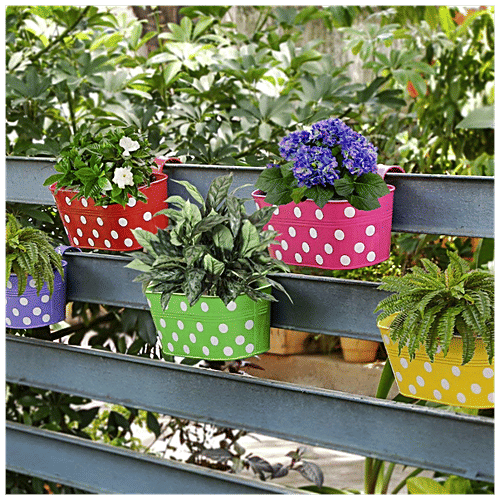 Leafy Tales Metal Hanging Planter - Strong, Durable, Rustproof, For Gardening, Green, 1 pc