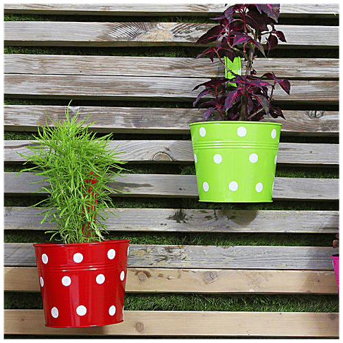 Leafy Tales Single Metal Hanging Pot - Strong, Durable, Rustproof, For Gardening, Red, 1 pc  