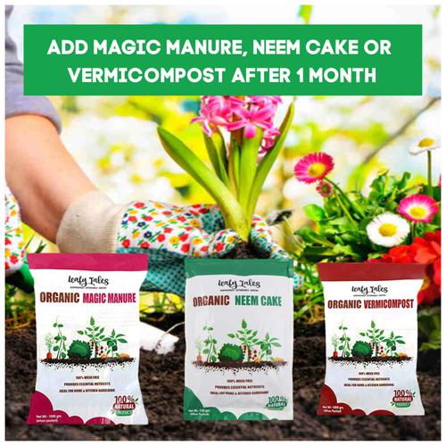 Buy Leafy Tales Organic Neem Cake Powder - 100% Natural, Fertiliser ...