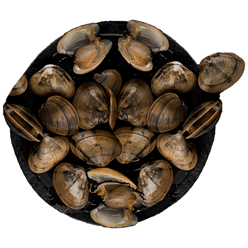 Buy Freshpick Clams Full Shell Rich Source Of Vitamin B12 & Protein