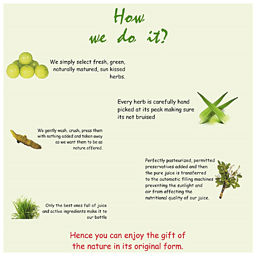 Axiom Aloevera Amla Juice - With Wheat Grass, Tulsi & Haldi, Pure & Natural, 500 ml  