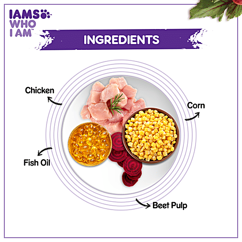 IAMS Proactive Health - Mother & Kitten, Dry Premium Cat Food With Chicken, Complete & Balanced Nutrition, 2-12 Months, 400 g