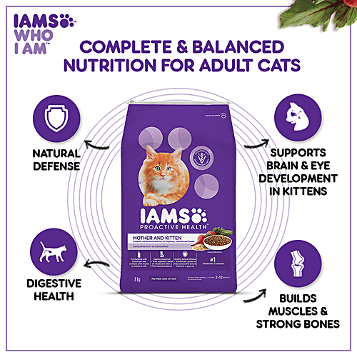 Buy IAMS Proactive Health Mother & Kitten, Dry Premium Cat Food With