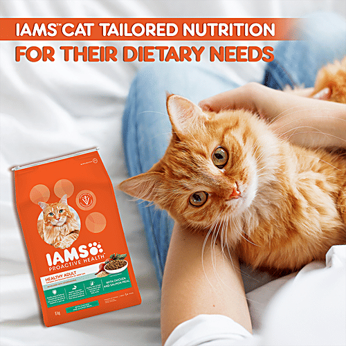 Buy IAMS Proactive Health Healthy Adult, Dry Premium Cat Food With