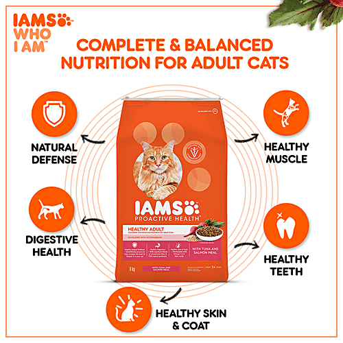 Buy IAMS Proactive Health Healthy Adult, Dry Premium Cat Food With