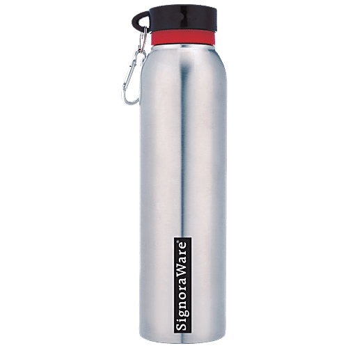 Buy Signoraware Chill Single Walled Stainless Steel Fridge Water Bottle