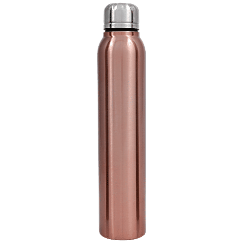 Pigeon Stainless Steel Water Bottle Elfin Fridge Bottle - SILVER, 750 ml  