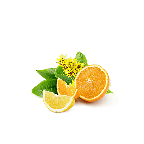 Mylo Care Vitamin C Mattifying Skin Mist Toner - With Green Tea, Witch Hazel, Cucumber, Tightens Pores, Balances pH Level, 200 ml  