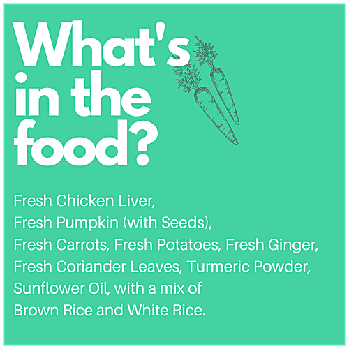 Doggos  Big Monster - Fresh Pet Food, All Natural, Balanced Nutrition, Suitable For All Dogs, 200 g (Pack of 4) 