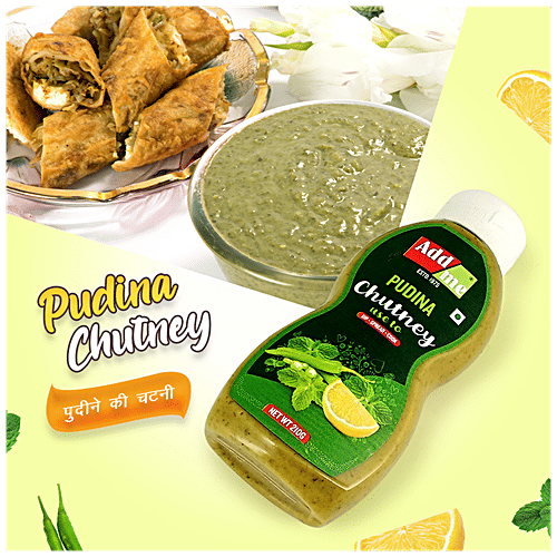 Buy Add Me Pudina Chutney Classic Indian Mint Sauce, For Dipping