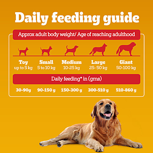 Pedigree Adult Dry Dog Food, Chicken & Vegetables, 20 kg, 3 kg, 100% Complete & Balanced Food for Adult Dogs, 20 kg Healthy Muscles & Bones, Healthy Digestive System, Shinier Coat, High Quality Protein & Calcium