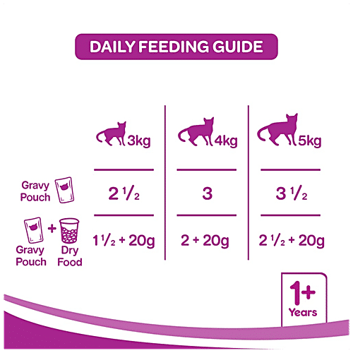 Whiskas Wet Cat Food - Adult Cats ,1+Years, Chicken in Gravy Flavour, Balanced Nutrition, 4 kg (48 packs x 85 g each) Healthy and Tasty
Complete and Balanced Nutrition
Wet Cat Food