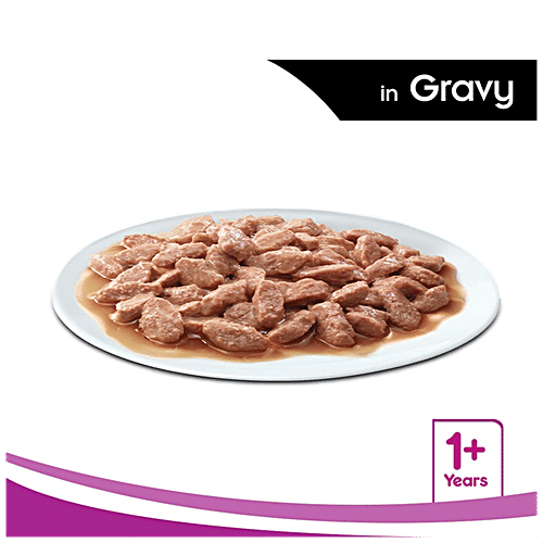 Whiskas Wet Cat Food - Adult Cats ,1+Years, Chicken in Gravy Flavour, Balanced Nutrition, 4 kg (48 packs x 85 g each) Healthy and Tasty
Complete and Balanced Nutrition
Wet Cat Food