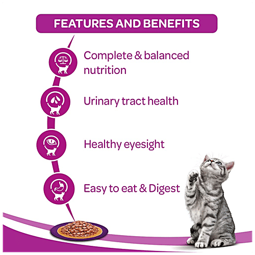 Whiskas Wet Cat Food -  Adult Cats, 1+Years, Salmon In Gravy Flavour, Balanced Nutrition, 4 kg (48 packs x 85 g each) Healthy and Tasty
Complete and Balanced Nutrition
Wet Cat Food Recipe