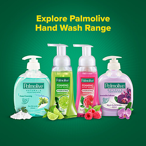Buy Palmolive Hydrating Foaming Lime & Mint Liquid Hand Wash Online at