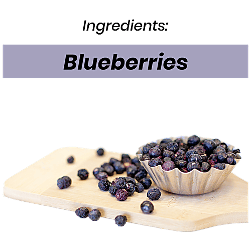 Buy Nutrilitius Dried Blueberries Premium Rich In Vitamin A, C Online