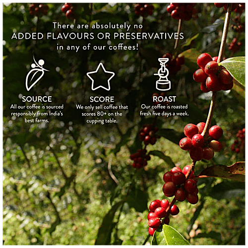 Buy Blue Tokai French Roast Moka Pot Coffee 100 Arabica, Dark