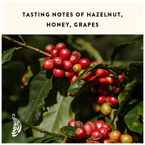 Blue Tokai Silver Oak Medium Roast French Press Arabica Ground Coffee, 250 g  Hazelnut, Honey, Grapes
 The Coffee We Source Is The Coffee We Love To Drink