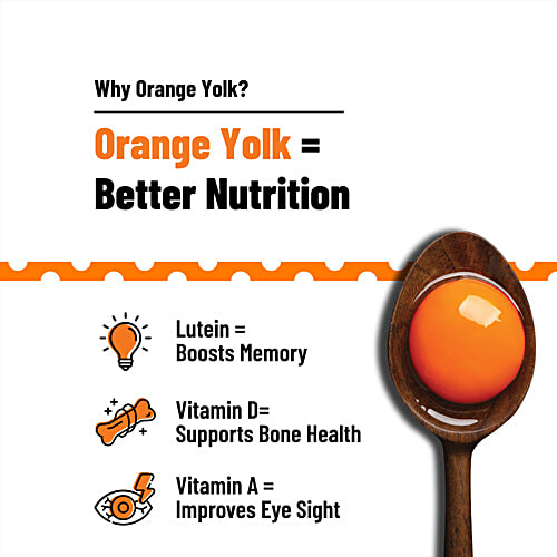 Eggoz Nutrition Nutra Eggs - Rich In Omega 3, Vitamin D and B12, 10 pcs