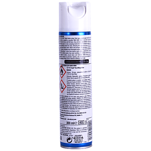 Raid Fly & Wasp Killer - Rapid Action, Kills Insects In Seconds, 300 ml  