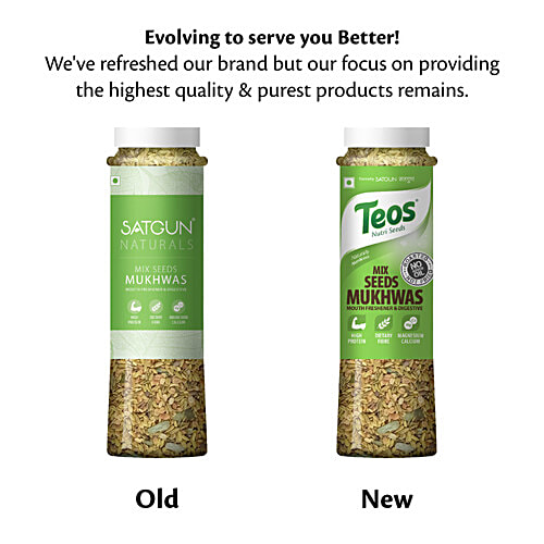 Teos Mix Seeds Mukhwas, 110 g  