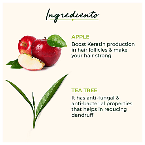 Buy Organic Harvest Anti Dandruff Shampoo Apple Cider Vinegar & Tea