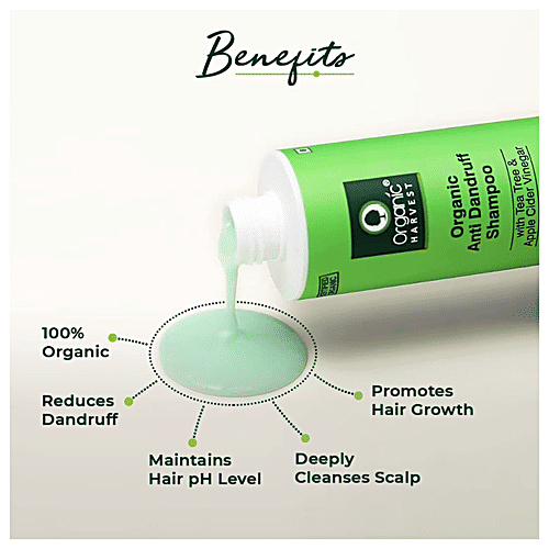 Buy Organic Harvest Anti Dandruff Shampoo Apple Cider Vinegar & Tea