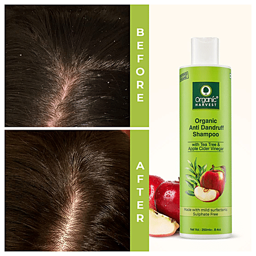 Buy Organic Harvest Anti Dandruff Shampoo Apple Cider Vinegar & Tea