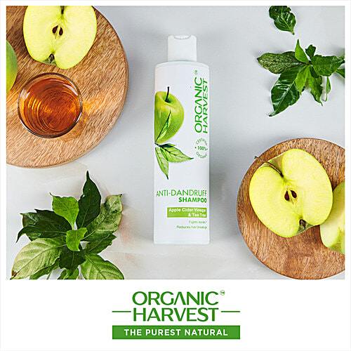 Organic Harvest Anti Dandruff Shampoo - Apple Cider Vinegar & Tea Tree Oil, For Itchy & Dry Scalp, No Sulphates, Parabens, 250 ml  