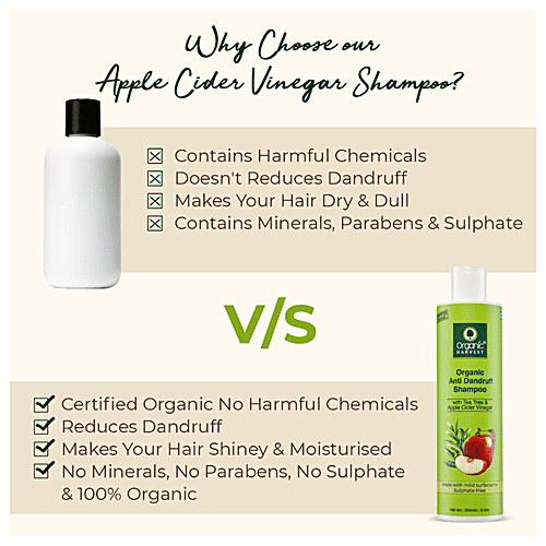 Buy Organic Harvest Anti Dandruff Shampoo Apple Cider Vinegar & Tea