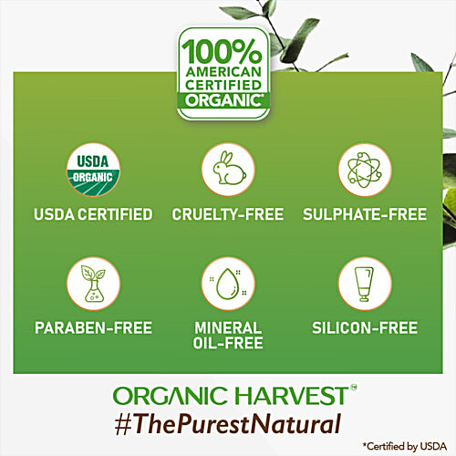 Organic Harvest Anti Dandruff Shampoo - Apple Cider Vinegar & Tea Tree Oil, For Itchy & Dry Scalp, No Sulphates, Parabens, 250 ml  